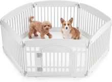 Dog Playpen 4-Panel, 24IN Puppy Playpen, Stable Dog Play Pen Indoors/Outdoor with Secure Locking Door, Plastic Pet Fence for Small & Medium Dogs - view 1 of 6 | NEWBULIG