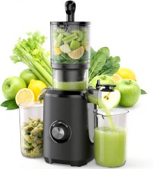 Cold Press Juicer Machine for Vegetables & Fruits, Silver - view 1 of 6 | NEWBULIG