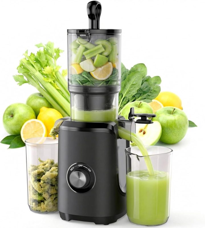 Cold Press Juicer Machine for Vegetables & Fruits, Silver - view 1 of 6 | NEWBULIG