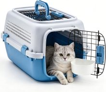23 Inch Hard-Sided Dog Carrier for Small Dogs & Cats, Blue - view 1 of 6 | NEWBULIG