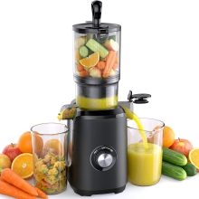 Cold Press Juicer Machine for Vegetables & Fruits, Silver - view 1 of 6 | NEWBULIG