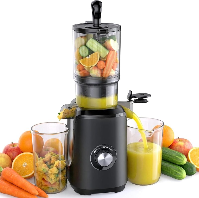 Cold Press Juicer Machine for Vegetables & Fruits, Silver - view 1 of 6 | NEWBULIG