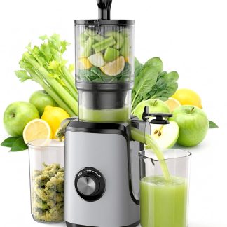 Cold Press Juicer Machine for Vegetables & Fruits, Silver - Silver | NEWBULIG