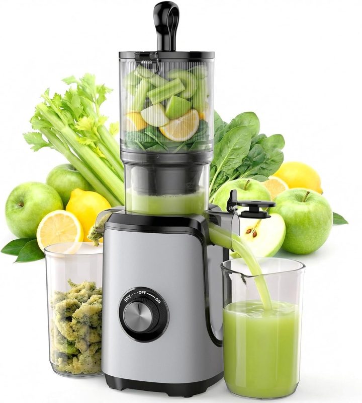 Cold Press Juicer Machine for Vegetables & Fruits, Silver - view 1 of 6 | NEWBULIG