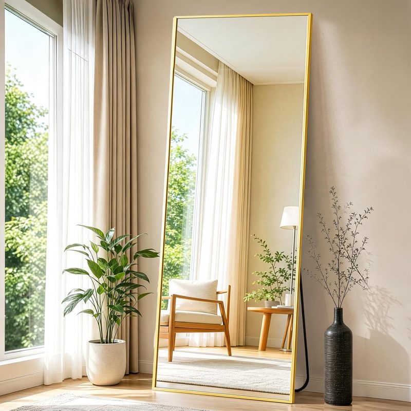 64×21 Inch Full Length Mirror, Full Body Standing Mirror, Black - view 1 of 6 | NEWBULIG