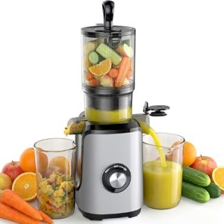 NEWBULIG Cold Press Juicer Machine for Vegetables & Fruits, Silver