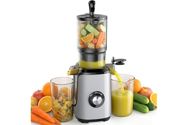 NEWBULIG Cold Press Juicer Machine for Vegetables & Fruits, Silver