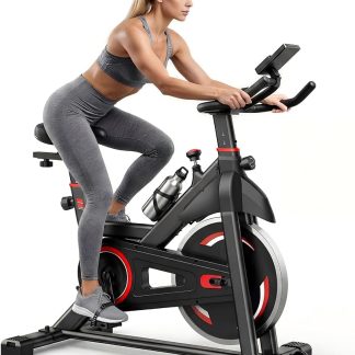Exercise Bike with APP, Stationary Bikes for Home, Workout Bike for Adults & Seniors, Cycle Machine, Adjustable Height and Resistance, Low Noise, 265lbs Weight Capacity, Easy Assembly | NEWBULIG