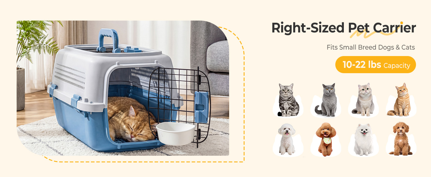 NEWBULIG 23 Inch Hard-Sided Dog Carrier for Small Dogs & Cats, Blue - NEWBULIG product detail