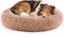 37×37 Inch Donut Dog Bed for Indoor Use, Fluffy Large Pet Sofa - view 1 of 6 | NEWBULIG