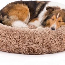 37×37 Inch Donut Dog Bed for Indoor Use, Fluffy Large Pet Sofa - view 1 of 6 | NEWBULIG