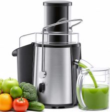 Centrifugal Juicer, 3 Inch Feed Chute Juicer Machine, Silver - view 1 of 6 | NEWBULIG