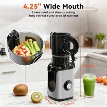 Cold Press Juicer Machine for Vegetables & Fruits, Silver - view 2 of 6 | NEWBULIG